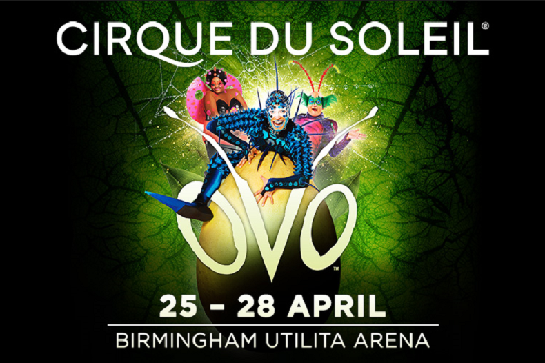 Cirque Du Soleil - OVO - Last Min Availability