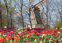 Dutch Waterways & Keukenhof Gardens