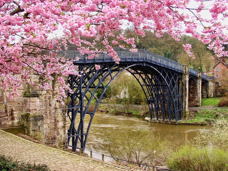 Springtime in Shropshire 