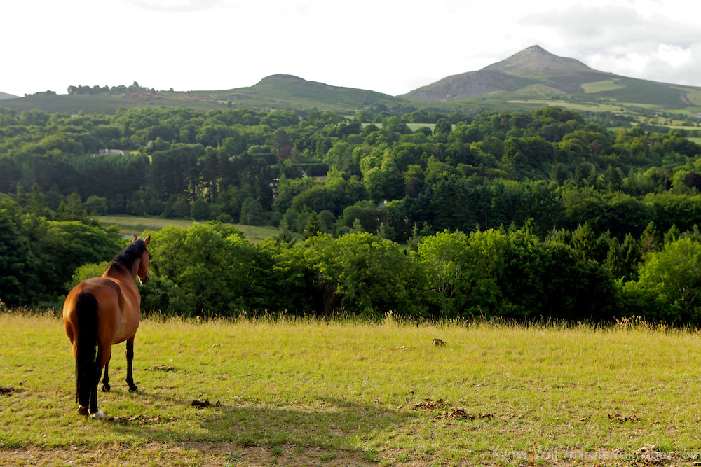 County Wicklow, Powerscourt Gardens & The National Stud 